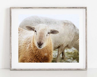 Sheep Print, Farmhouse Wall Decor, Rustic Sheep Print, Farm Animal Print, Modern Farmhouse Decor, Sheep Canvas Art