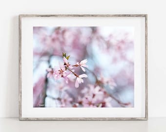 Blossoms Print, Spring Blossom Photo, Country Home Decor, Spring Flower Art, Pastel Wall Art, Spring Canvas Art, French Country Decor