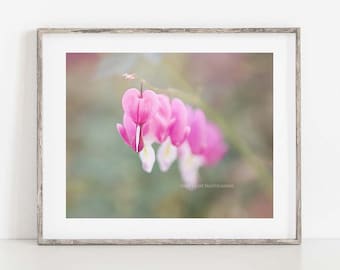 Bleeding Hearts Photograph, Pink Flower Photo Print, French Country Decor, Farmhouse Wall Decor, Pink Flower Canvas Art