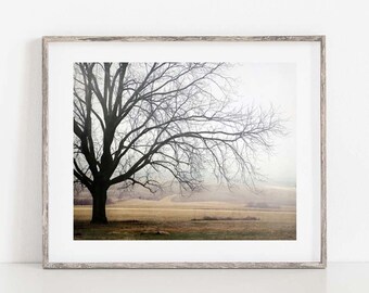 Tree Landscape Print, Landscape Photography, Tree Photo, Landscape Art, Tree Photography, Lone Tree Print