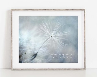 Dandelion Photo