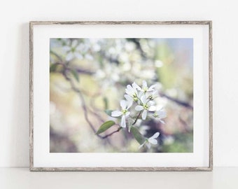 Spring Blossom Photo, Country Home Decor, Spring Flower Print, Pastel Wall Art, Spring Canvas Art, French Country Decor