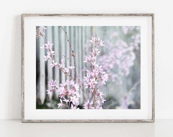 Spring Blossom Print, Country Fence Photo, Spring Flower Photography, Rustic Fence  Print, Cottage Home Decor, Spring Canvas Art