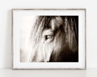 Horse Eye Portrait Fine Art Print, Black and White Equestrian Photography