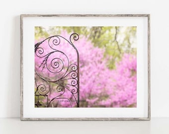 Pink Floral Photograph, Cottage Home Wall Art, Floral Photography Print, Floral Wall Art, Pink Flower Photo, Springtime Flower Print