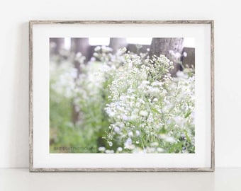 Country Landscape Photo, Farmhouse Wall Decor, Fence Photo, White Flower Photo, White Flower Canvas Art, French Country Decor