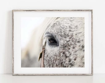 Horse Photography Print, Close Up of Horse Eye Photo, Rustic Farmhouse Wall Art