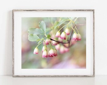 Flower Photo, Pink Flower Print, Botanical Photo, Pink Wall Art, Flower Canvas Art