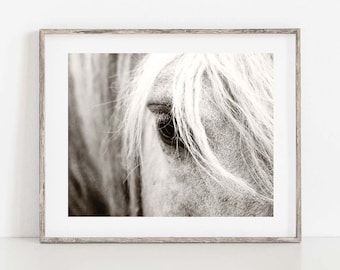 Horse Photography, Horse Eye Photo