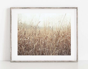 Wheat Field Photograph