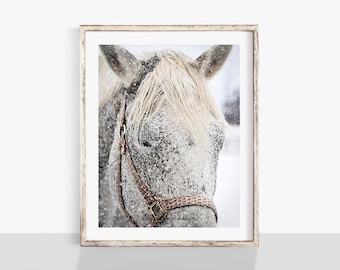 Horse Photo, Horse Photography, Farmhouse Wall Decor, Horse Portrait, Fine Art Photography