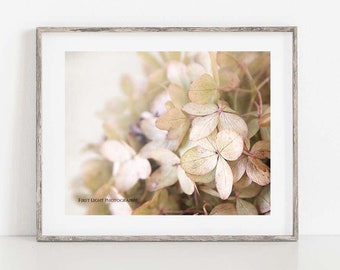 Hydrangea Photograph, French Country Wall Art, Dried Hydrangea Flower Photo, Neutral Wall Art, Dried Hydrangea Petals Print