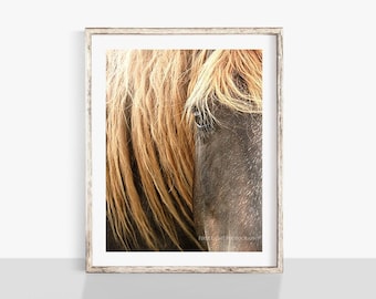 Horse Eye Photograph, Horse Photo, Horse Photography, Farmhouse Wall Decor