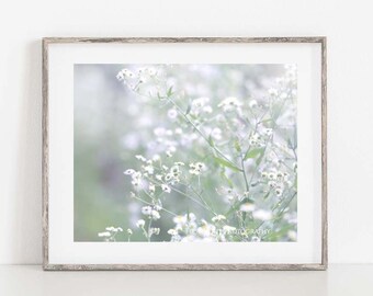 White Flower Photo, White Floral Wall Art, White Flower Photography, White Wildflower Landscape Print