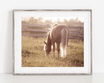 Horse Print, Farmhouse Wall Decor, Horse Photography, Horse Canvas Art, Country Home Art