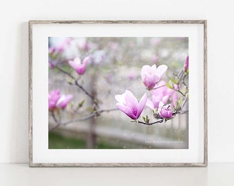 Magnolia Flower Print, Magnolia Flowers Wall Art, Pink Magnolia Photograph, Spring Flower Photography, Nature Photography