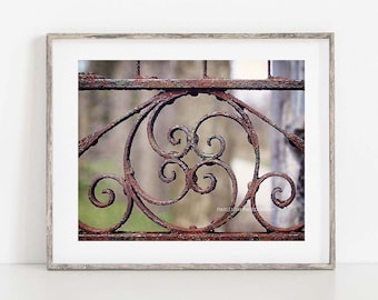 Fence Photograph, Wrought Iron Wall Art, Modern Rustic Decor, Rusty Gate Photo, Still Life Garden Photography, Rustic Picture