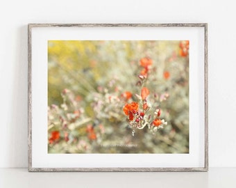 Desert Flower Photograph, Red Flower Photo, Cottage Home Decor, Country Decor, French Country Wall Art, Floral Canvas Art