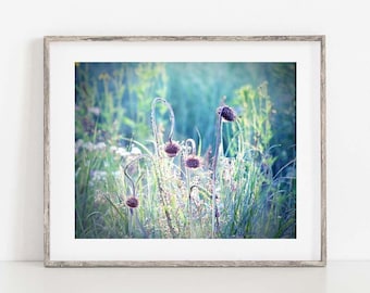 Nature Photography, Prairie Wildflowers, Wildflower Print, Country Landscape,  Blue Canvas Wall Art, Fine Art Photography Country Home Decor