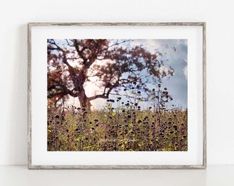 Oak Tree Photograph, Landscape Photography, Tree Wall Art, Autumn Landscape Photo Print, Tree Wall Art