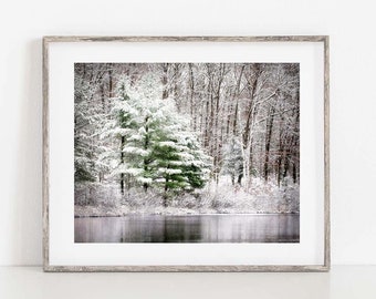 Winter Photography, Winter Landscape Print, Winter Print, Woodland Photo, Winter Photo, Fine Art Photography, Winter Nature Photo