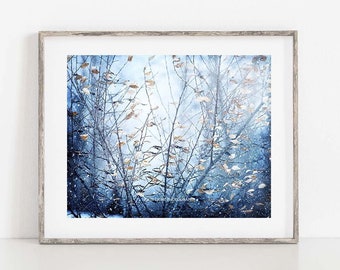 Blue Abstract Photo, Winter Landscape Print, Abstract Fine Art Photography, Blue Abstract Art, Winter Photography, Blue Canvas Art