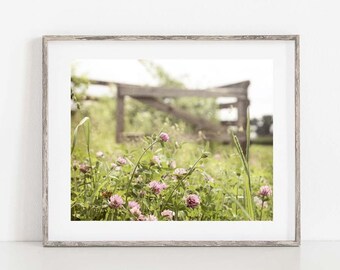 Country Landscape Photograph, Landscape Print, Farmhouse Decor, Large Canvas Art, Landscape Canvas, Clover in Pasture Summer Landscape Photo
