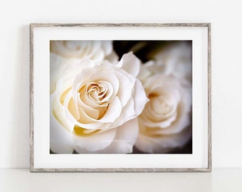 Flower Photography, Rose Photo, Floral Wall Art, White Rose Print, Botanical Print, Shabby Chic Decor, Pink Bedroom Wall Art, Bedroom Decor