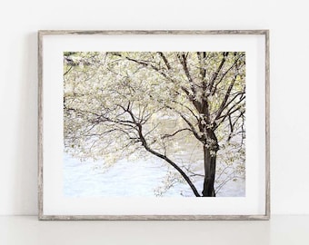 Blooming Tree Wall Art, Tree Print, Spring Tree Photo, Nature Photography, Blooming Tree in Spring Art, Spring Wall Art