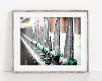 Fence Photo, Modern Rustic Decor, Dublin Ireland FencePhotograph, Wrought Iron Wall Art, Rusty Gate Photo