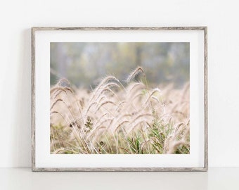 Autumn Grass Photo, Grassy Landscape Print, Farmhouse Wall Decor, Grass Wall Art, Grass Photography