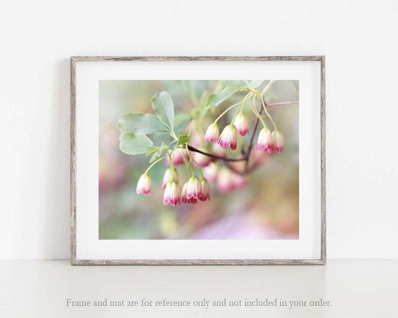 Flower Photo, Pink Flower Print, Botanical Photo, Pink Wall Art, Flower Canvas Art image 1