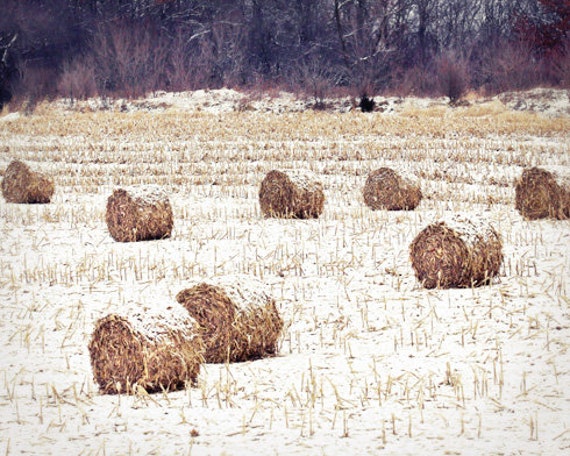 Hay Bale Photo Farmhouse Decor Rustic Country Decor Hay Etsy