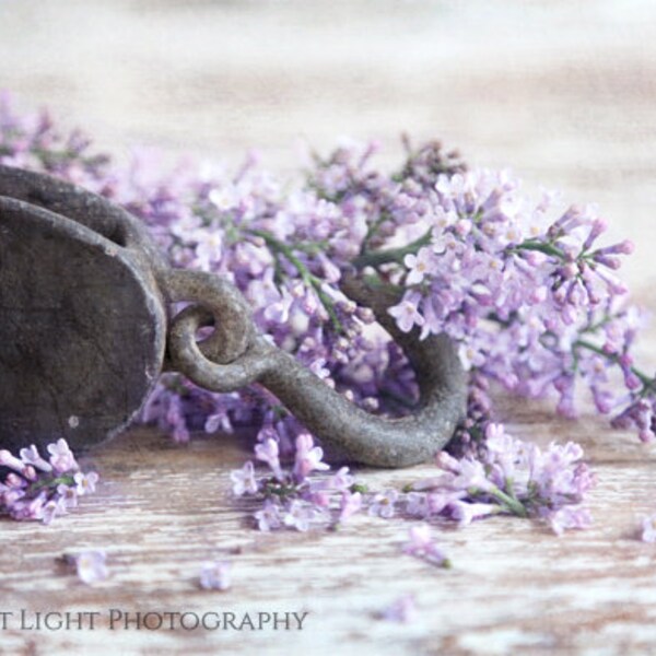 Lilac Wall Decor Etsy