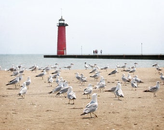 Lighthouse Print, Beach Wall Art, Kenosha Lighthouse Photograph, Red Lighthouse, Lighthouse Beach Canvas Art, Seagulls on Beach Print