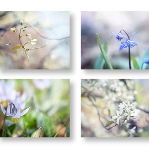 Floral Photography, Blue Flower Print Set, Cottage Home Decor, Flower Photographs, Fine Art Photography, Floral Canvas Art