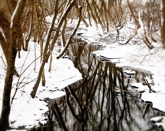 Winter Landscape Photograph, Winter Woods Print, Winter Creek Photo