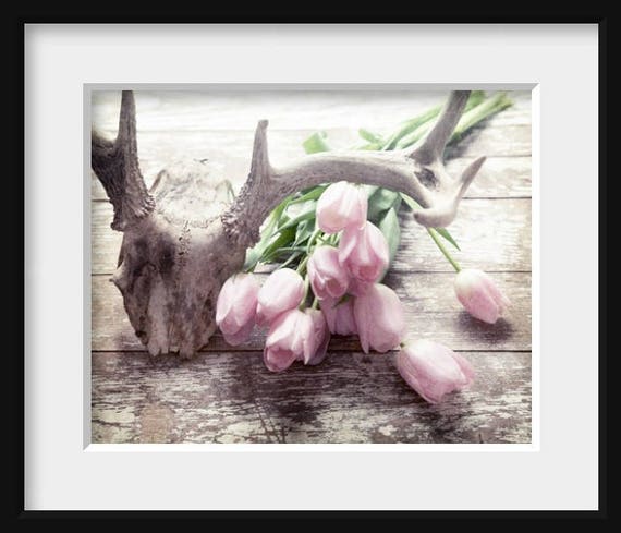 Deer Antler Decor Rustic Wall Decor Modern Farmhouse Decor Etsy