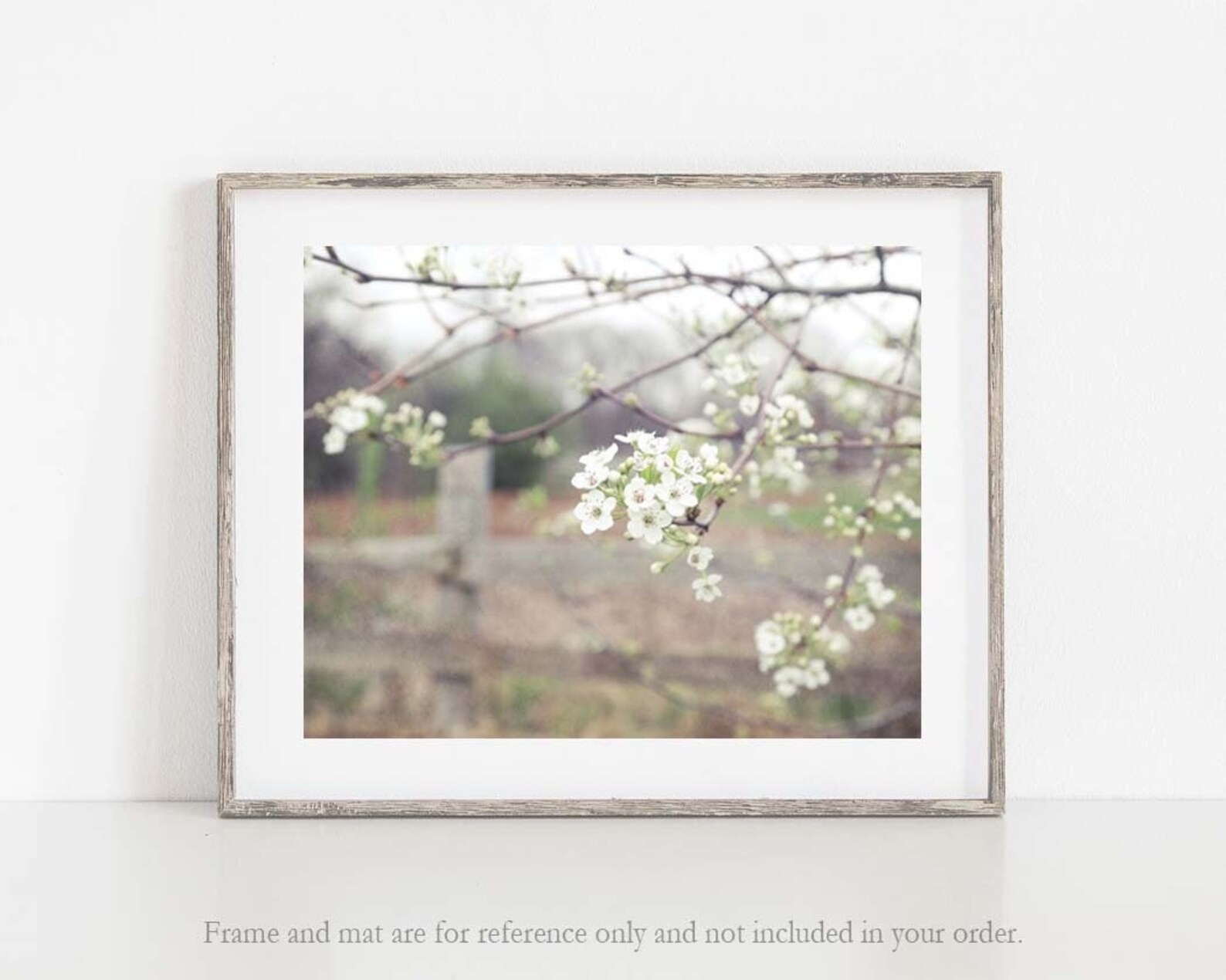 Blossom Flowers Photo Country Home Decor Nature Photo Art - Etsy