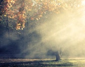 Autumn Landscape Photograph - sun rays golden trees heavenly smokey foggy ethereal dreamy 8x10