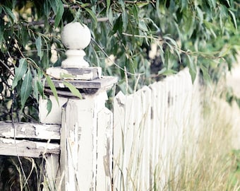 White Picket Fence Photo