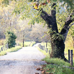 Cades Cove Photo, Landscape Photography, Country Home Decor, Smoky Mountains Photo, Country Landscape Photo, Canvas Art image 2