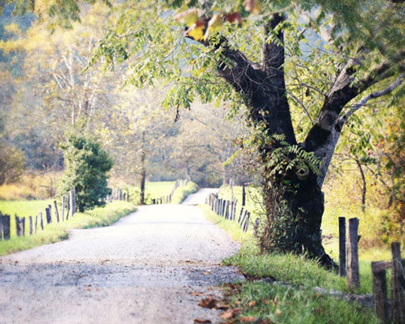 Cades Cove Photo, Landscape Photography, Country Home Decor, Smoky Mountains Photo, Country Landscape Photo, Canvas Art image 2