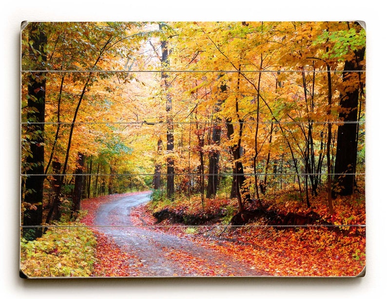 Fall Foliage Autumn Print Fall Landscape Photo Autumn Leaves Photo Autumn Landscape Photo Fall Decor Autumn Home Decor
