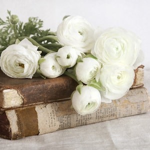 White Flower Print, Ranunculus Photo, Modern Farmhouse Decor, Flowers ...