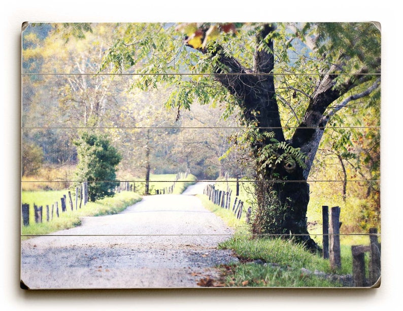 Cades Cove Photo, Landscape Photography, Country Home Decor, Smoky Mountains Photo, Country Landscape Photo, Canvas Art image 6