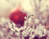 Christmas Photography - red ornament white crystals holiday home decor 5x5