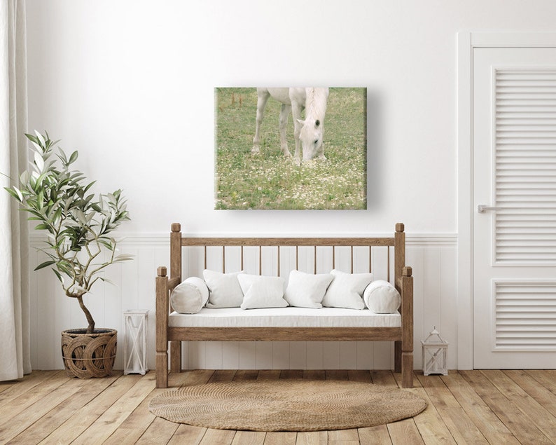 Horse Photograph, White Horse Photo, Horse in Pasture, Farm Art, Equine Print, Farmhouse Decor image 7