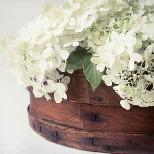 Hydrangea Photo, Farmhouse Decor, Hydrangea Print,Country Wall Decor, White Flowers, French Country Decor, Photo of Hydrangeas, Floral Art image 2