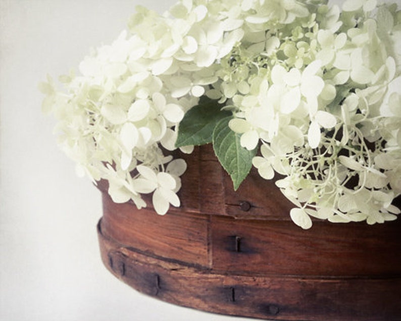 Hydrangea Photo, Farmhouse Decor, Hydrangea Print,Country Wall Decor, White Flowers, French Country Decor, Photo of Hydrangeas, Floral Art image 2